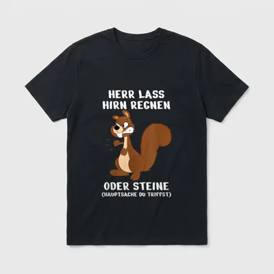 Büro Humor Eichhörnchen Herr T-Shirt – Eichhörnchen boxt, Spruch über Hirn und Steine regnen – Klassisches T-Shirt in Schwarz
