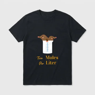 Two Moles Per Liter T-Shirt – Zwei Maulwürfe im Messbecher, Schriftzug Two Moles Per Liter – Klassisches T-Shirt in Schwarz