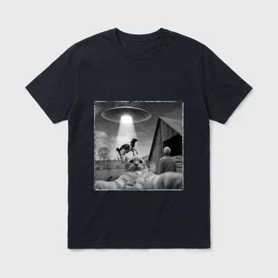 Katzen Männer Frauen Verschwörungstheorie T-Shirt – Klassisches T-Shirt in Schwarz