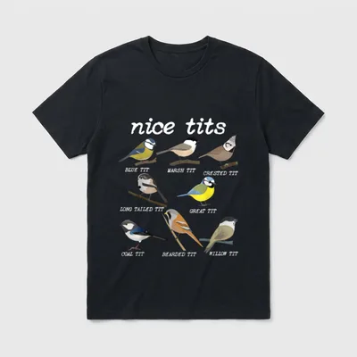 Nice Tits Funny Bird T-Shirt – Schriftzug „nice tits“ über acht gezeichneten Meisenarten – Klassisches T-Shirt in Schwarz