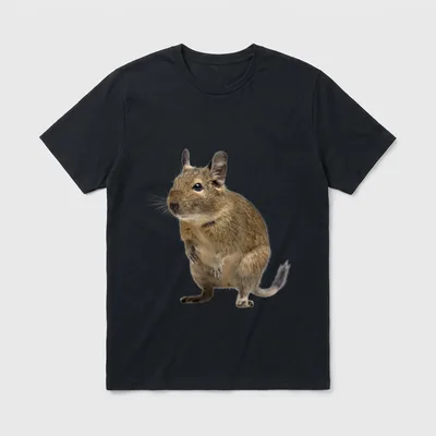 Lustiges Degu Octodon Degus T-Shirt – Klassisches T-Shirt in Schwarz