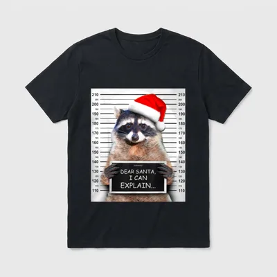 Dear Santa I Can T-Shirt – Klassisches T-Shirt in Schwarz