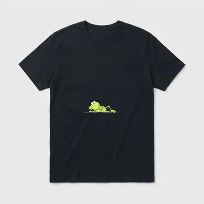 Relax Frosch Handgemaltes Lustiges T-Shirt – Klassisches T-Shirt in Schwarz